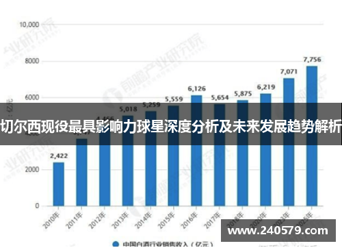 切尔西现役最具影响力球星深度分析及未来发展趋势解析